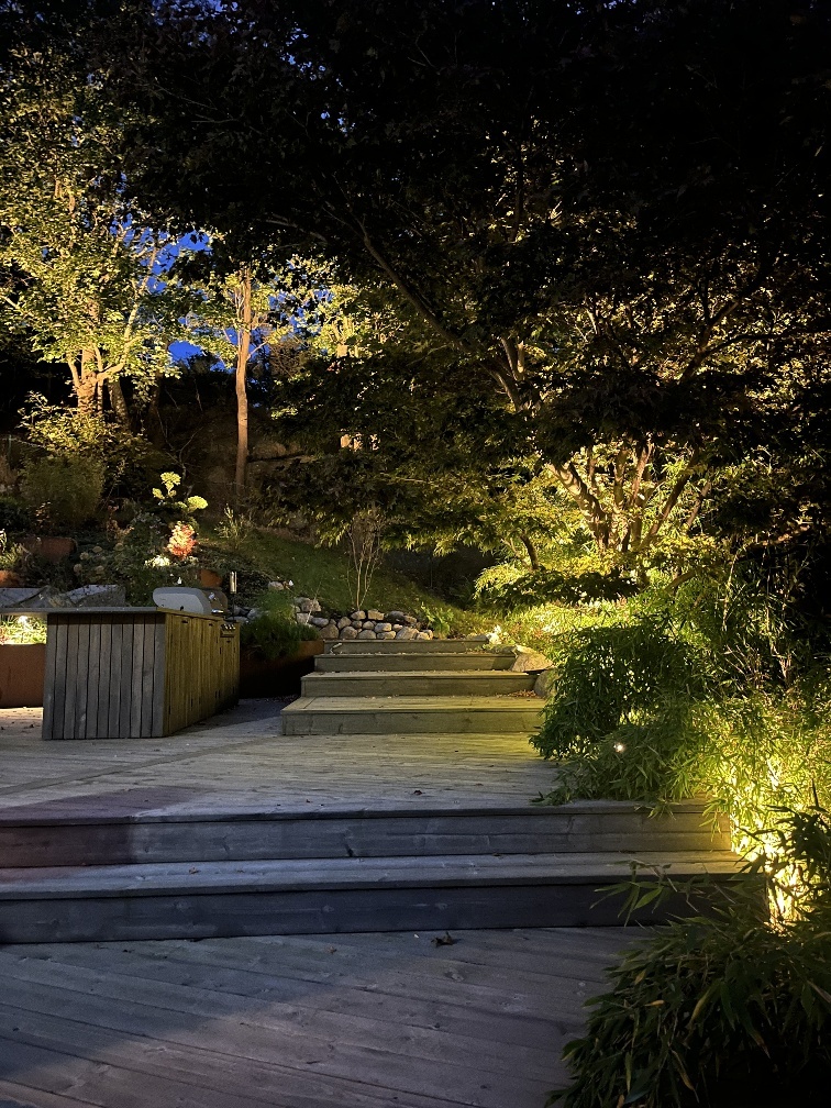 Trädgårdsbelysning designad av Glimra Ljusdesign